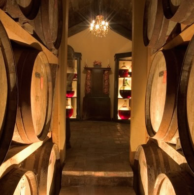 Grapevine Firewood: Armagnac cellar