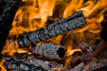 Barbecue Cooking: Firewood