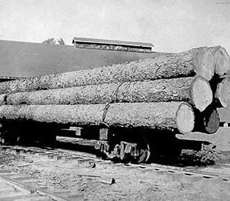 Firewood: Long Logs